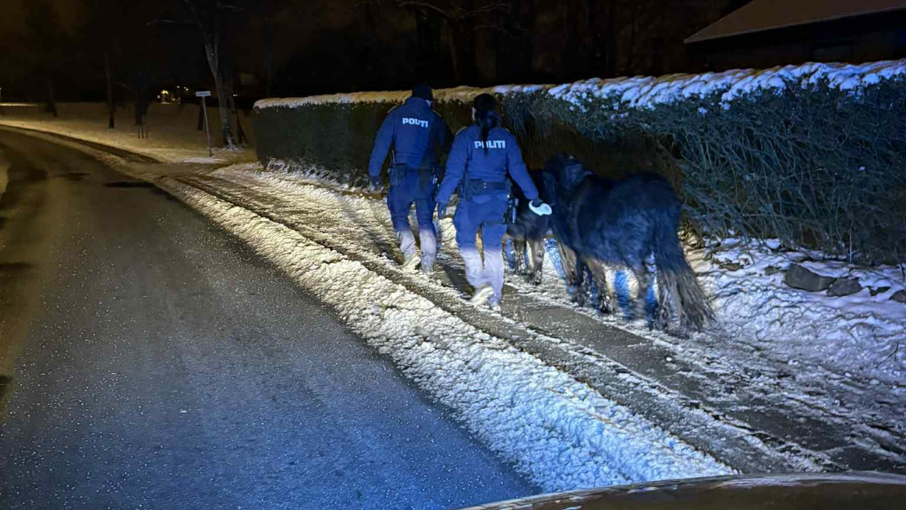 FOTO: Sydøstjyllands Politi