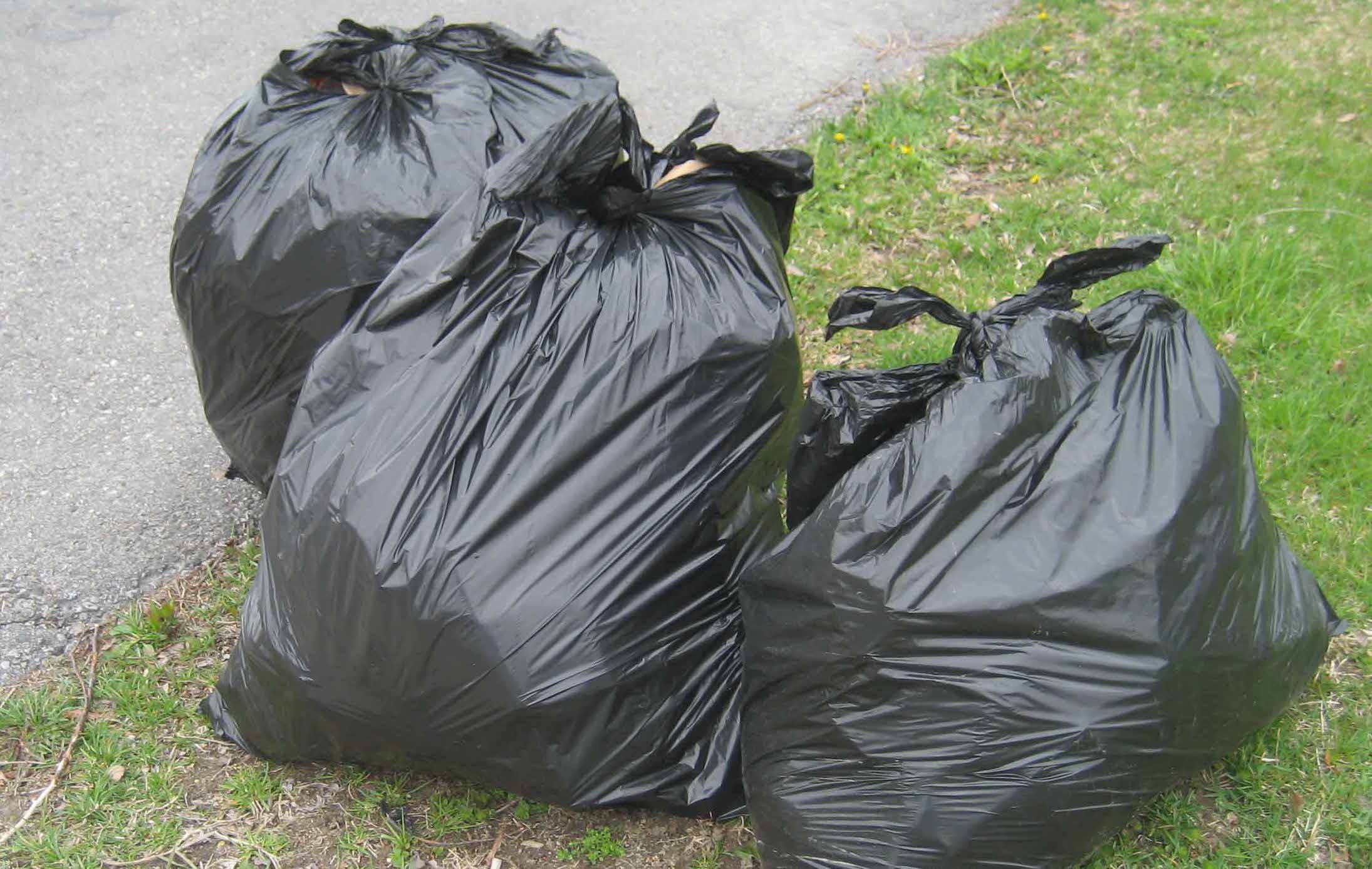 Frivillige i Middelfart samlede 145 sække affald i sommeren 2024 Frivillige i Middelfart samlede 145 sække affald i sommeren 2024