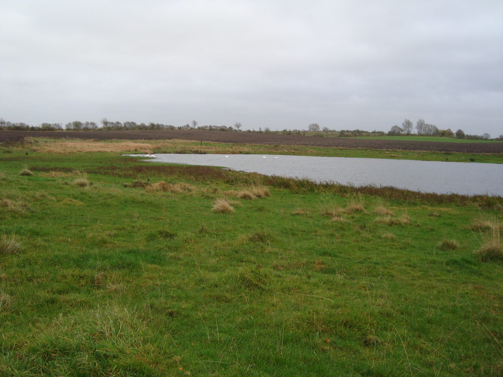 cb466d_indhegnet_eng