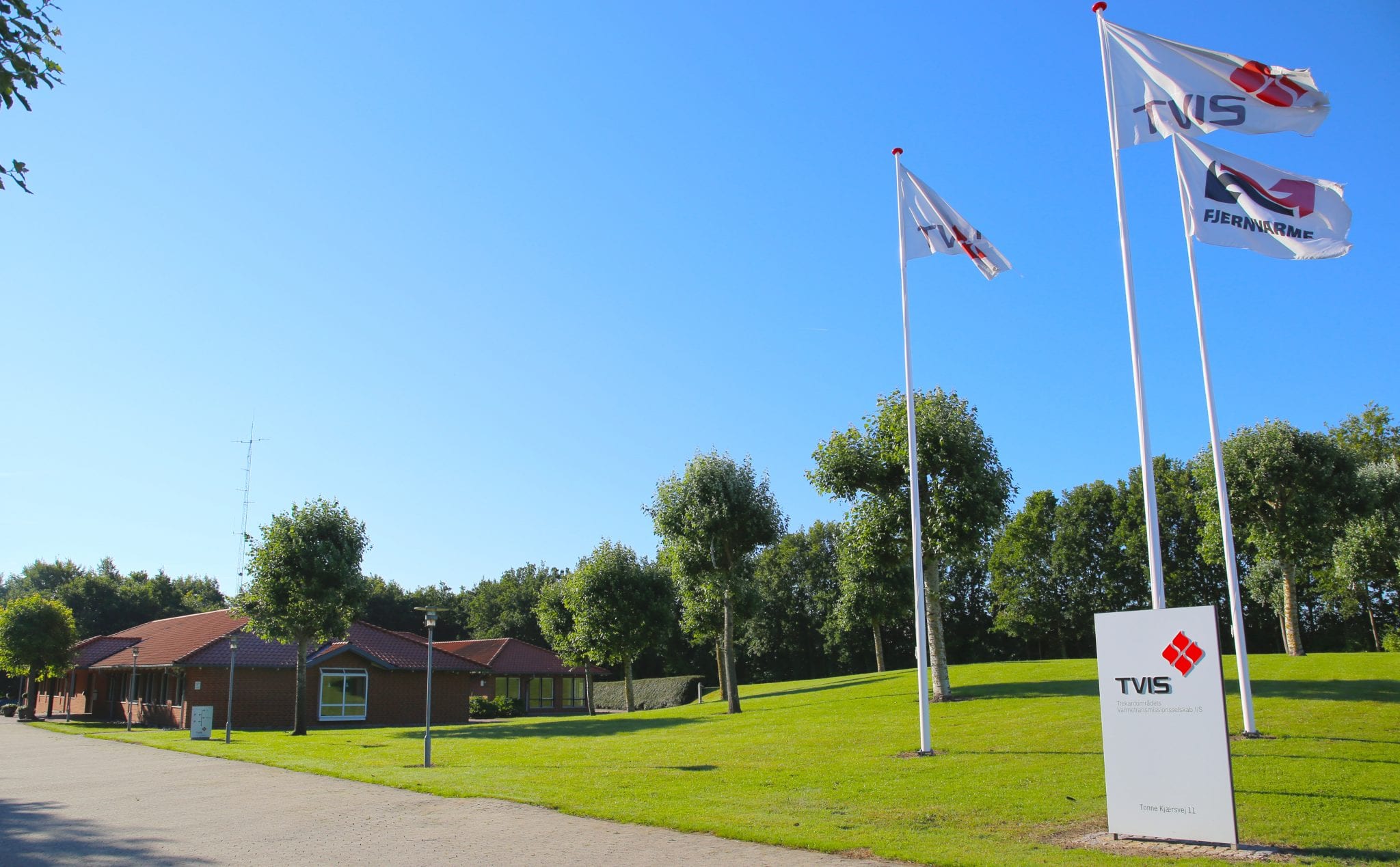 TVIS-direktør udfordrer EWIIs biomasse-kritik TVIS-direktør udfordrer EWIIs biomasse-kritik