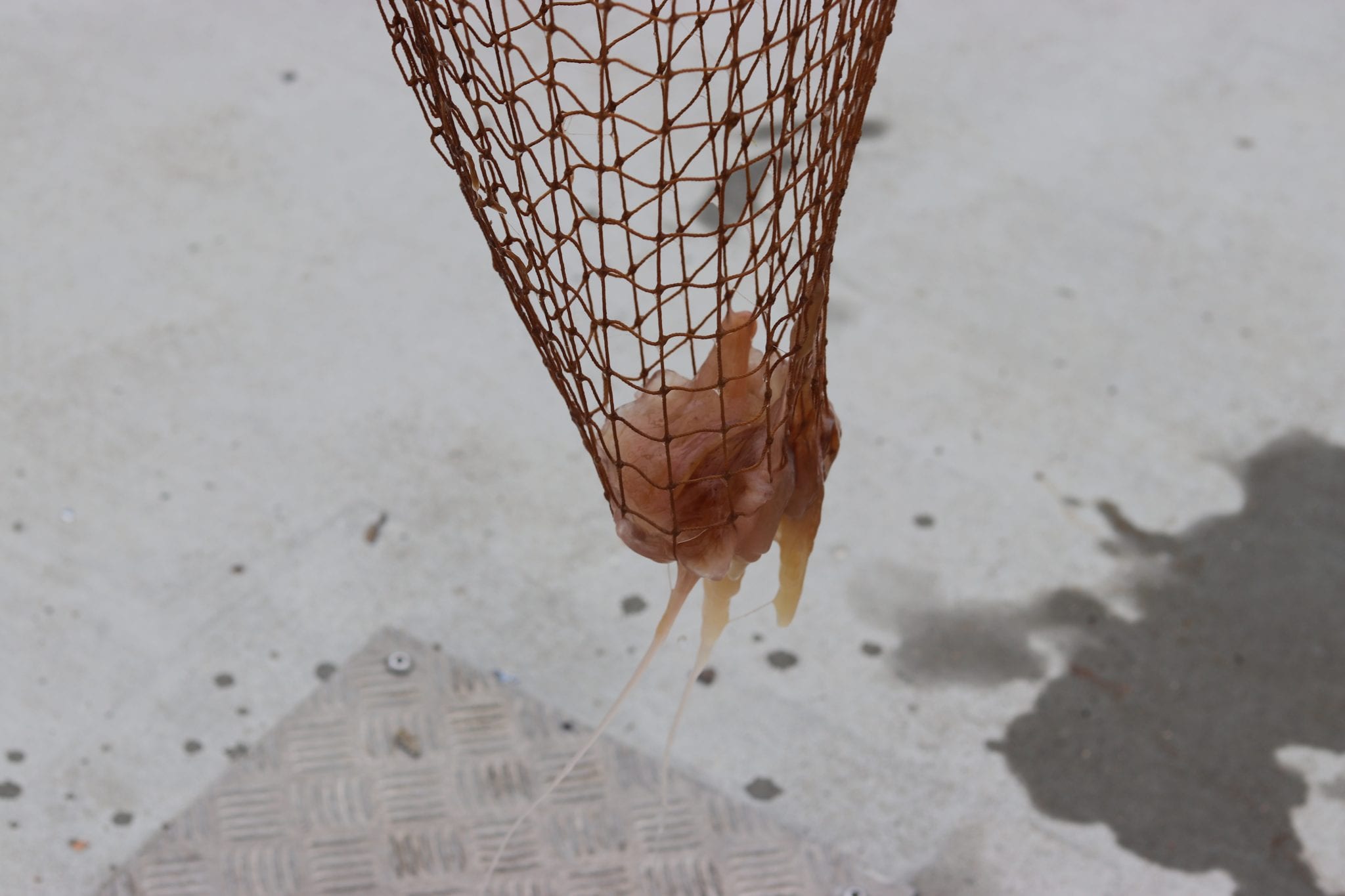 63.000 kroner skal gøre Skærbæks børn til strand-eksperter 63.000 kroner skal gøre Skærbæks børn til strand-eksperter