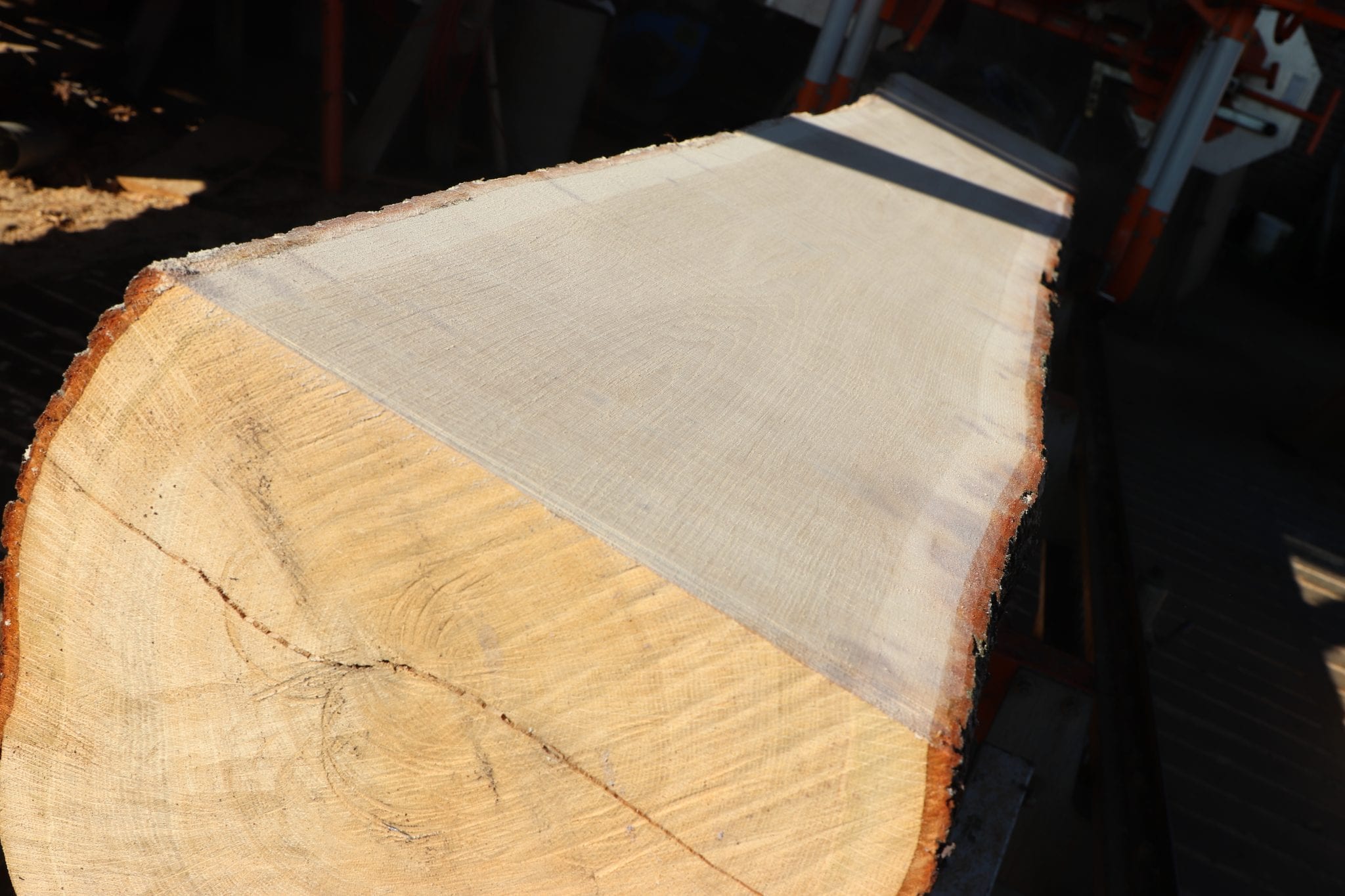 Indbrudstyve gik forgæves hos træfirma i nat Indbrudstyve gik forgæves hos træfirma i nat