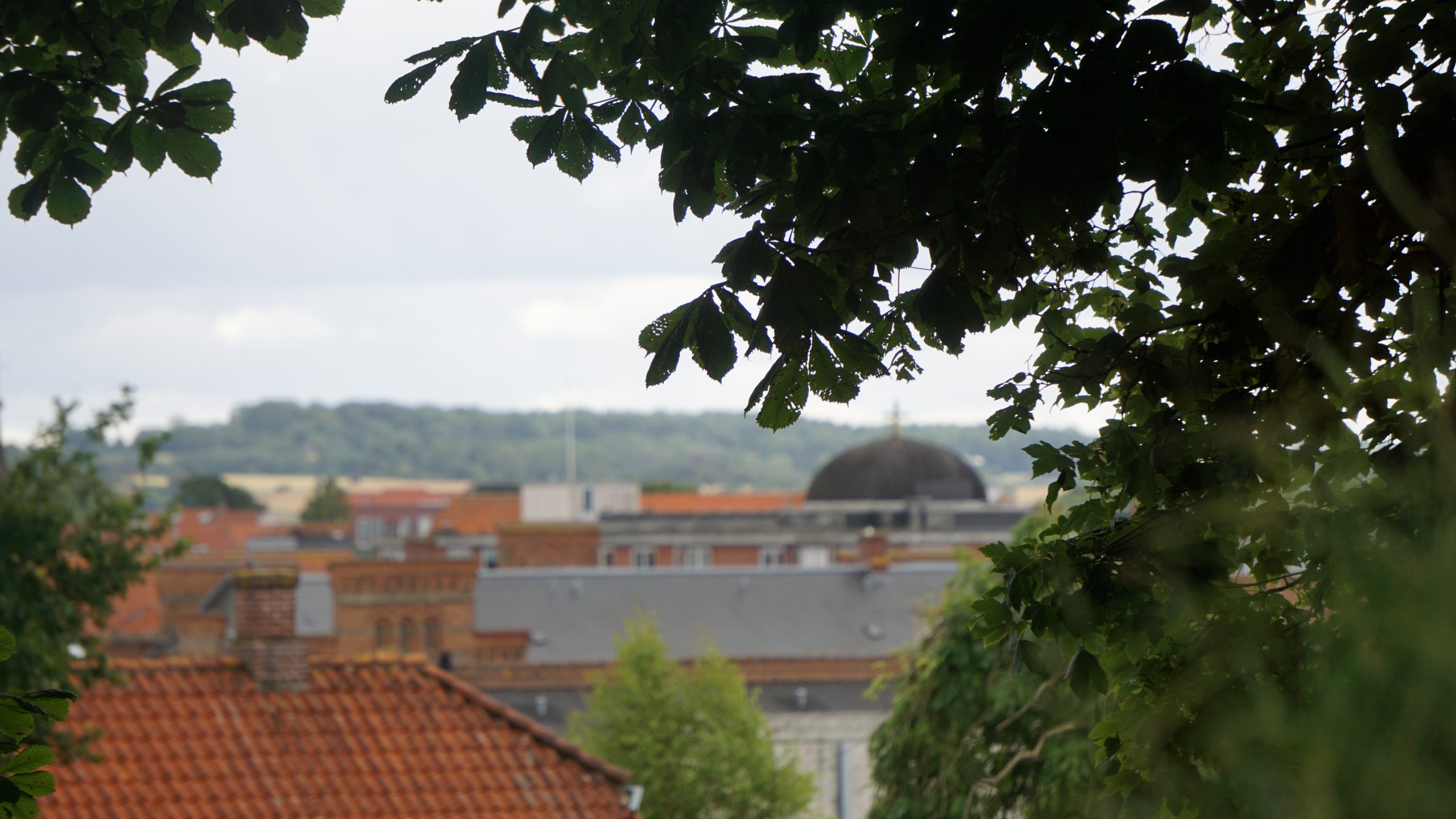 »Blev forelsket i Fredericia på en regnvejrsdag i marts« »Blev forelsket i Fredericia på en regnvejrsdag i marts«