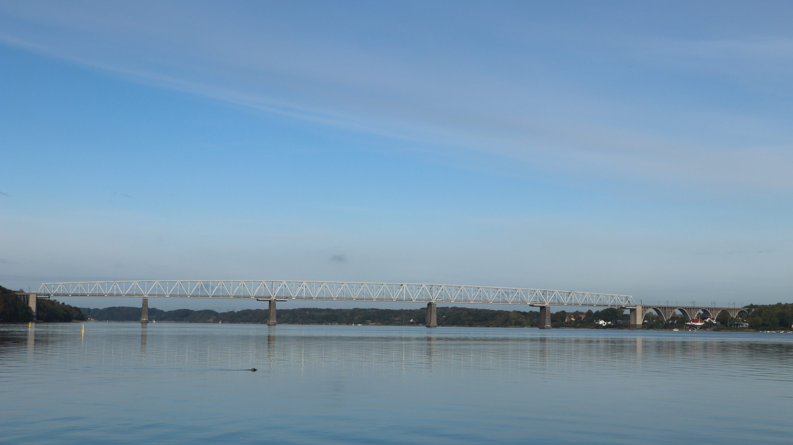 Marsvinet Lillebælt kan ånde lettet op – MaritimCenter er endelig i mål Marsvinet Lillebælt kan ånde lettet op – MaritimCenter er endelig i mål