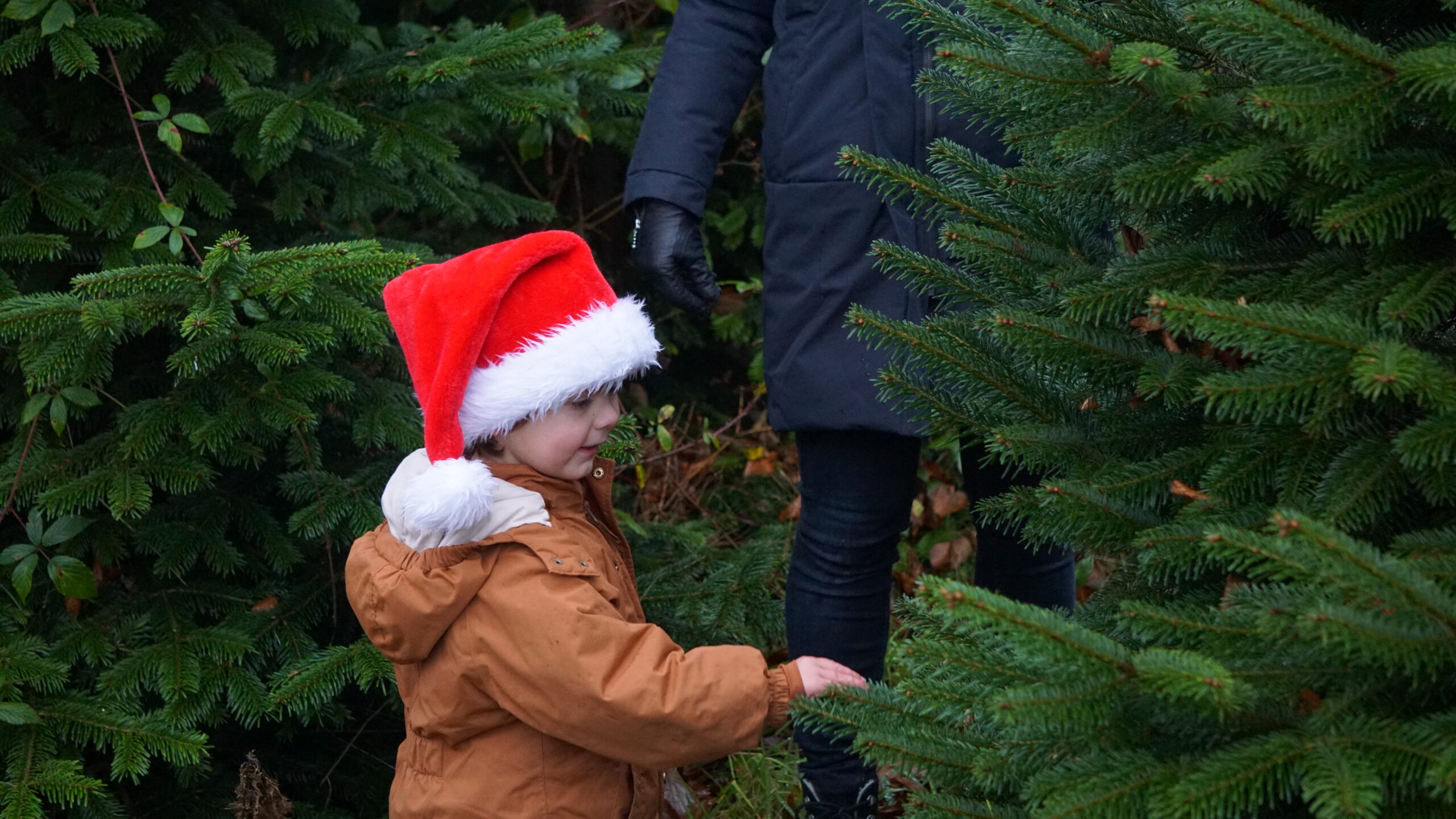 Julelys og fællesskab Brenderup står sammen om årets tradition