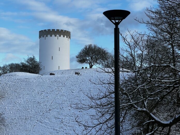 Vinter natur sne Fredericia Vold