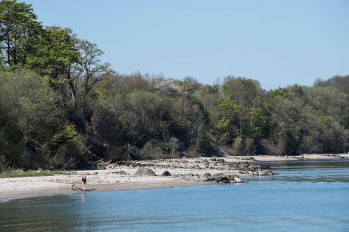 Fredericia Kommune - Skovens Dag - Trelde Næs.