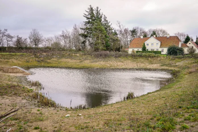 Regnvandsbassin ved E20 Fynske Motorvej. Foto- Vejdirektoratet.