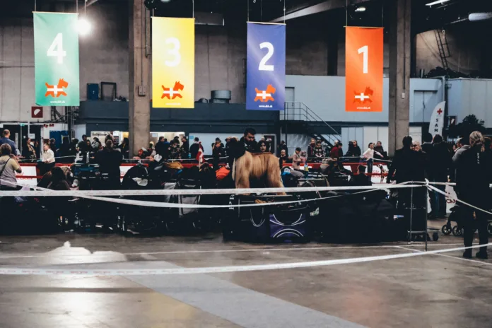 5e91fc84-4d8f-4bd8-9c80-881528504fc7