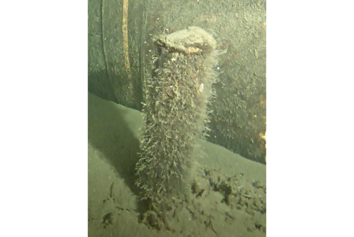 5AE9E0F7-9144-45AB-A5CC-DE268A29503C