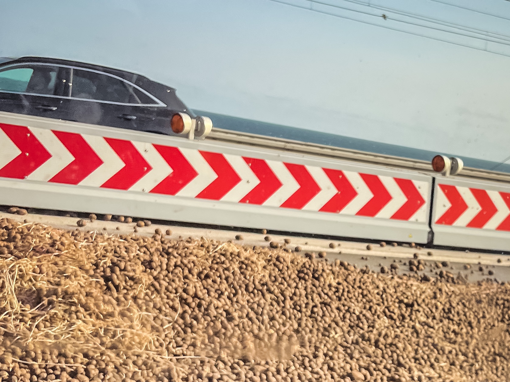 01-06-2023 Kartofler på vejen, Storebæltsbroen.