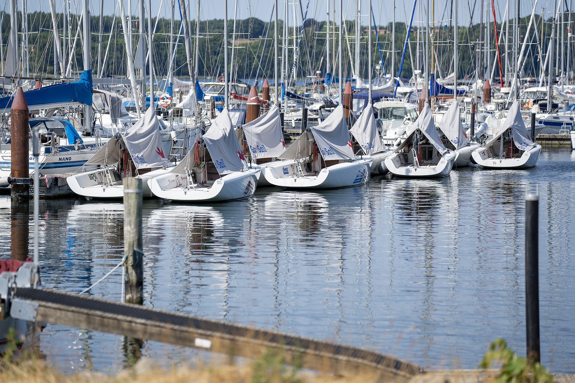 52998361015_213eb82ced_k