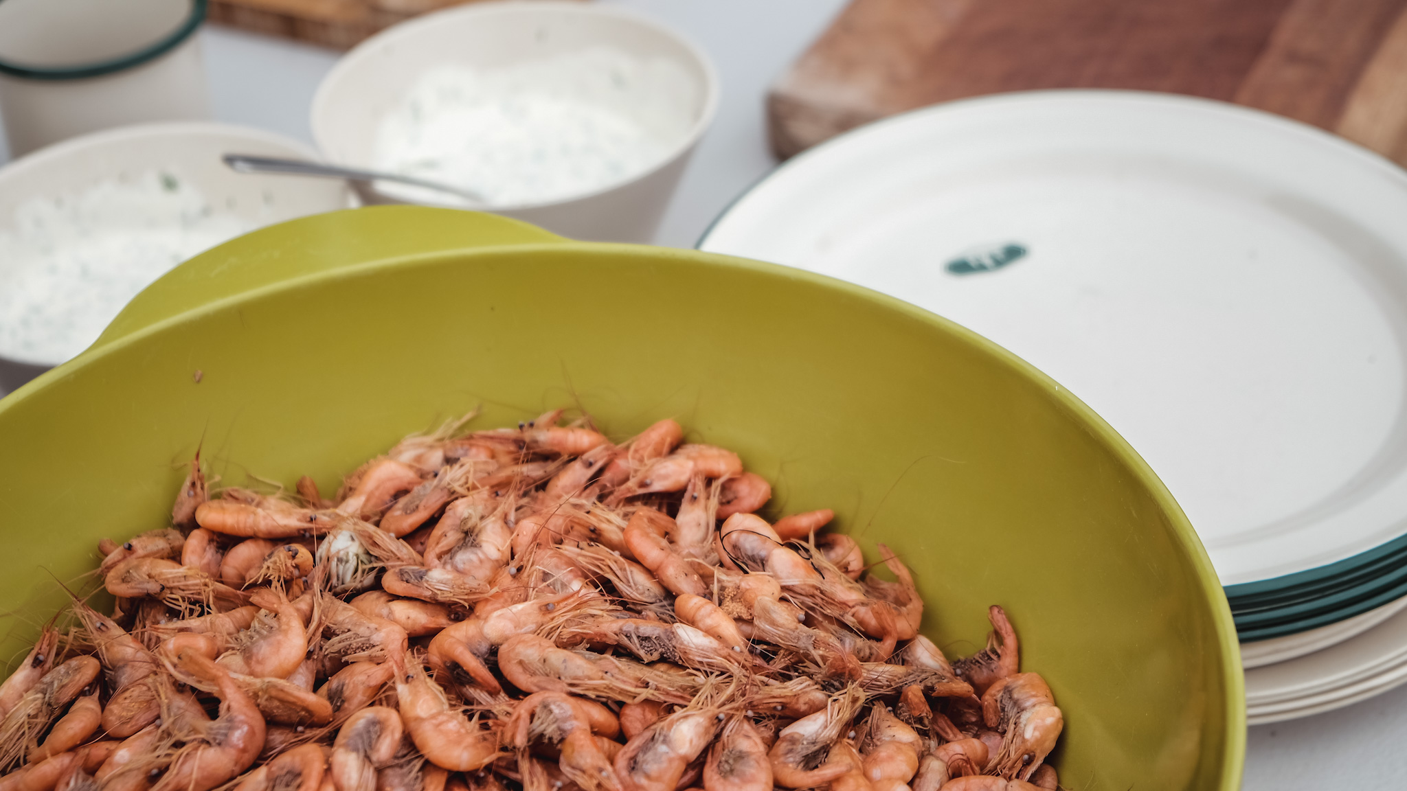 Fredericia som moderne turistby, helårligt potentiale