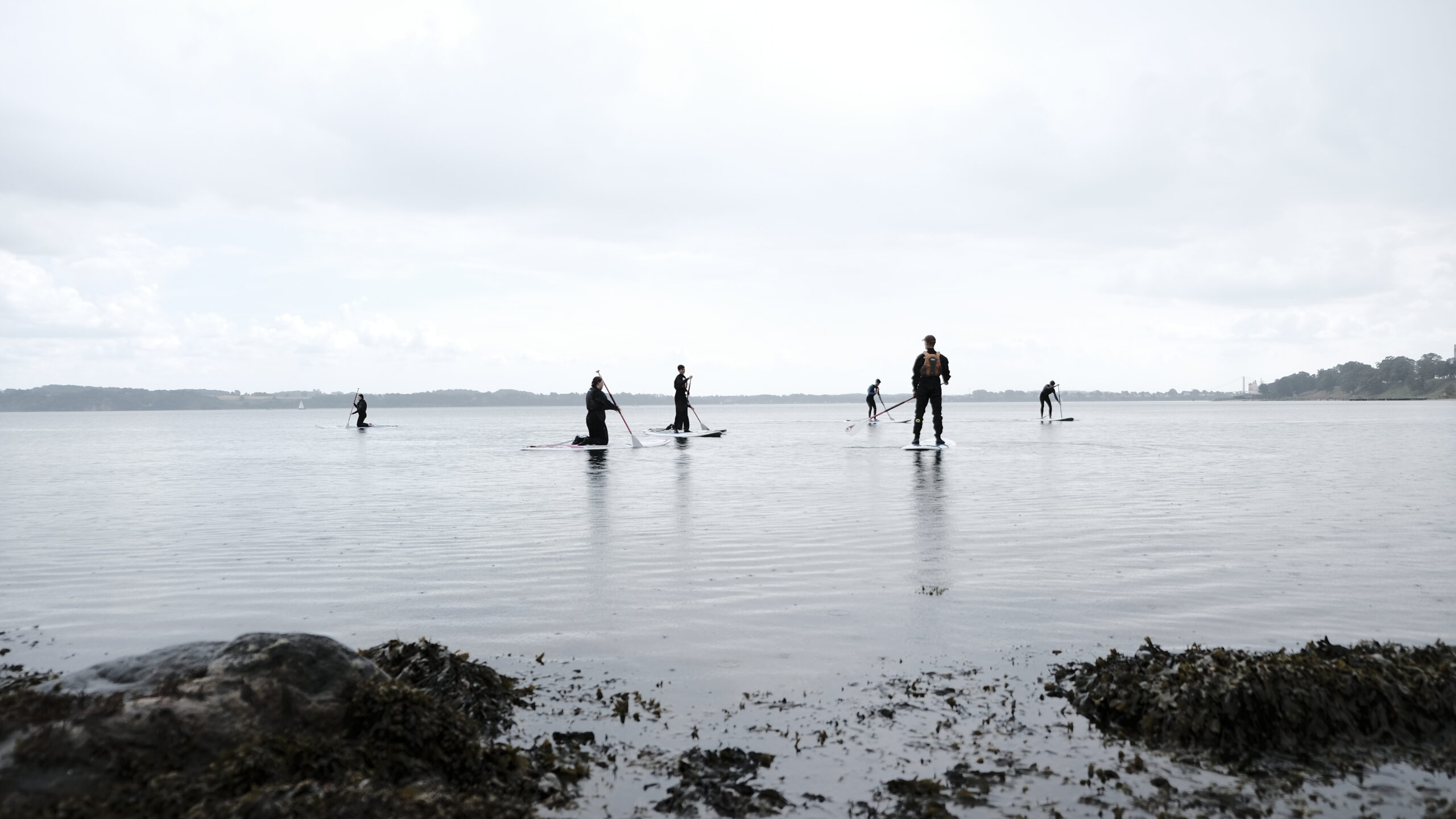 ‘Fedtemøg’ kåret til årets ord 2024