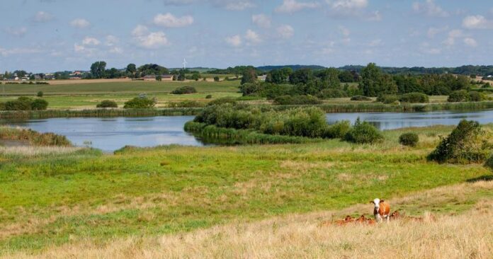 Vandring_og_fortling_ved_Rands_Fjord