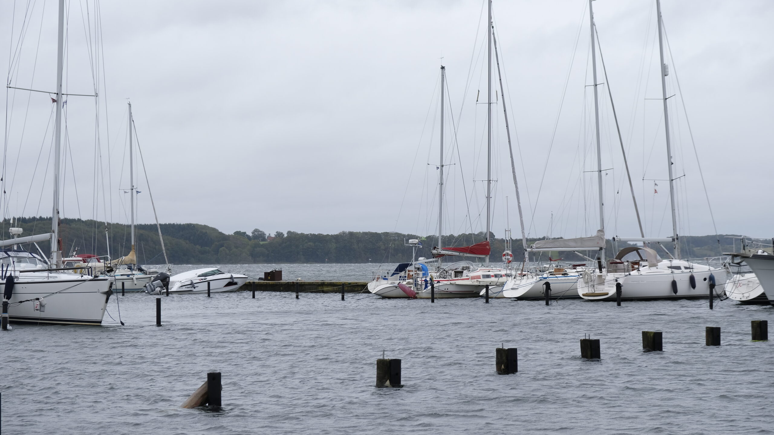 Husker du stormfloden for et år siden?