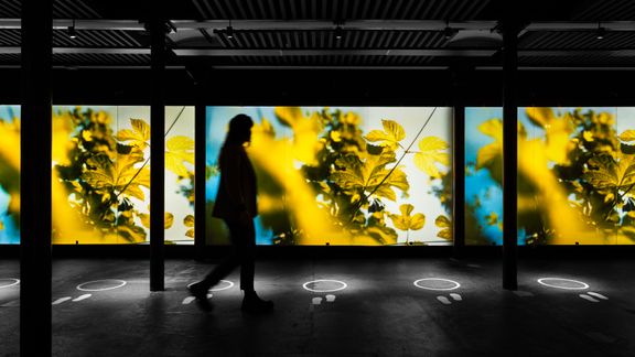 home-of-carlsberg-udstilling-daniel-rasmussen-home-of-carlsberg-