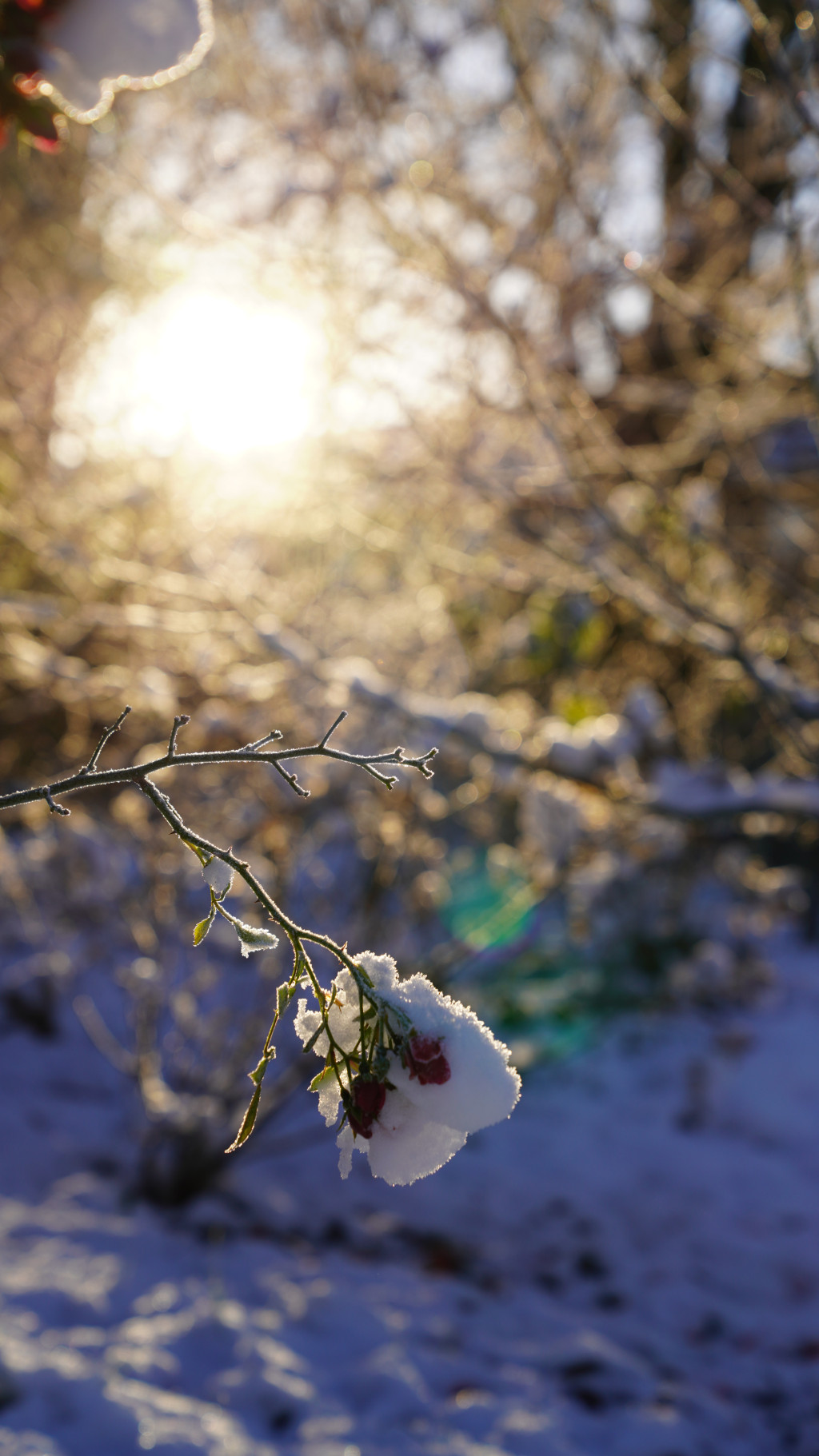Trafikanter advares om glatte veje