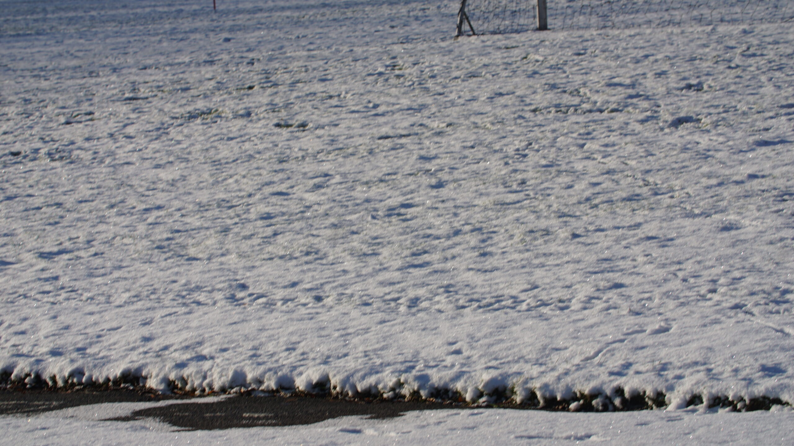 Snevejr kan være på vej Snevejr kan være på vej