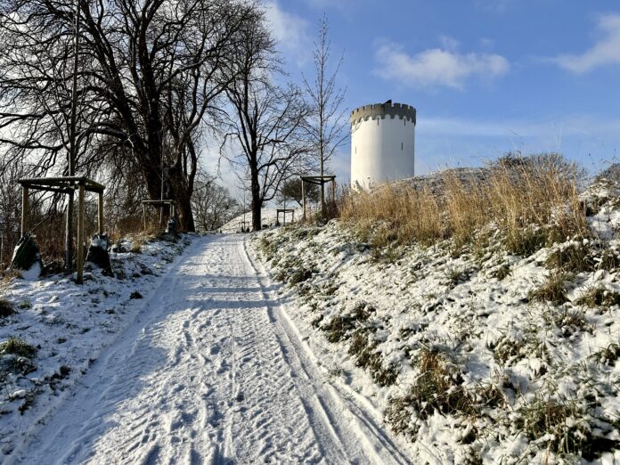 AVISEN 2024.01.13 Sne