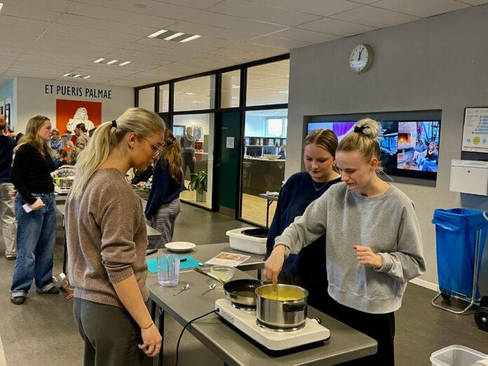 AVISEN 2024.02.29 Fredericia Gymnasium Flytte hjemmefra00003