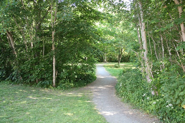 AVISEN 2024.02.06 friluftspavillon