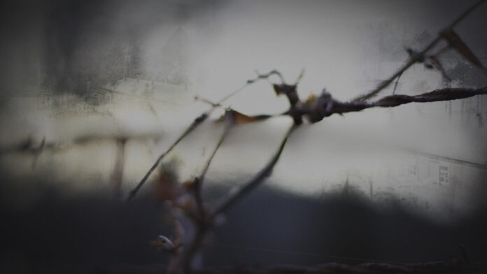 Hitler Kolding Stadsarkiv