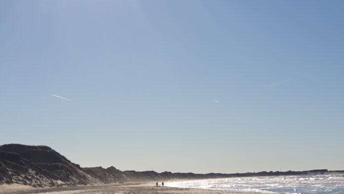 At lede efter sandheden