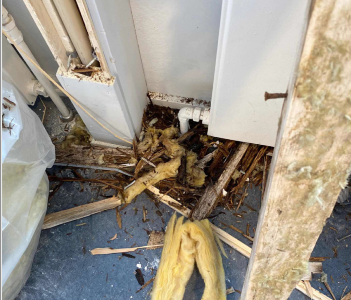 AVISEN 2024.01.03 Gothersgade 20b