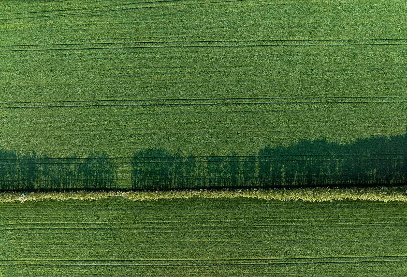 Ekspropriation i Viuf er fordoblet efter krav fra lodsejer