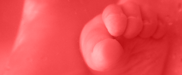 aabdf0f3-250f-4891-ae72-c84f3248d44f-w_960