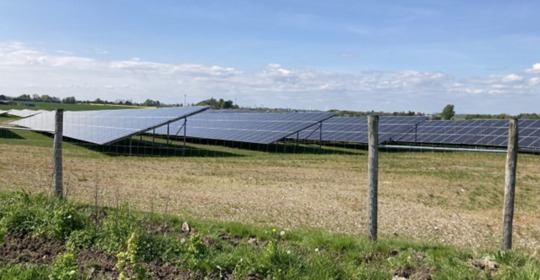 AVISEN 2024.05.14 Grøn pulje