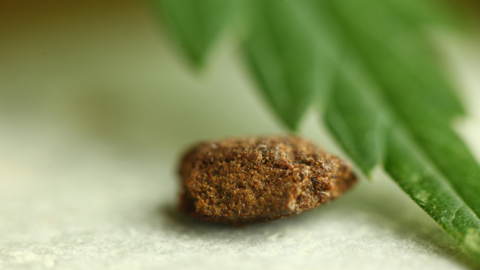 AVISEN 2024.05.17 Hash