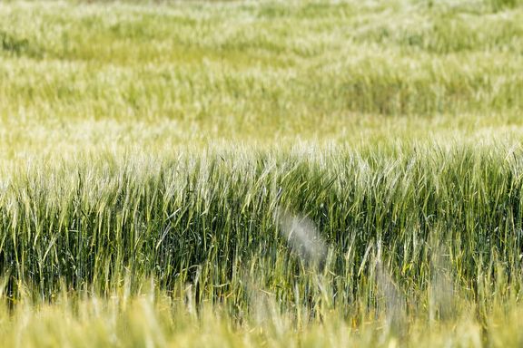 be8fc6db-036b-4d77-8854-446d126832bb-w_576_h_2000