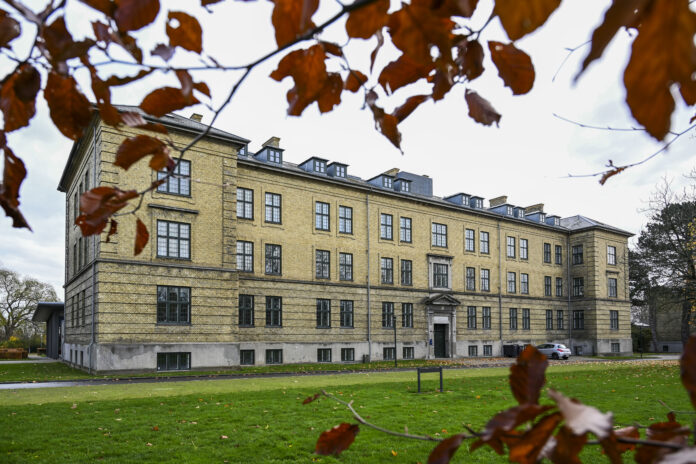 11.11.2018 Middelfat Kommune - Teglgaardsparken.