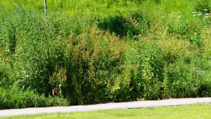 2024.06.26@15.17.12_3