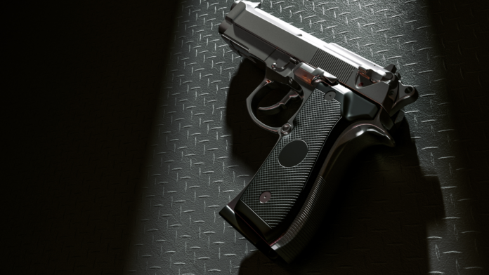 AVISEN 2024.06.13 Pistol