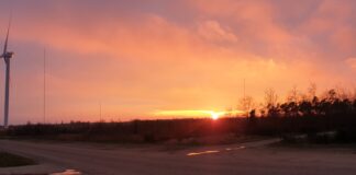 Kunsten at lede forandringer