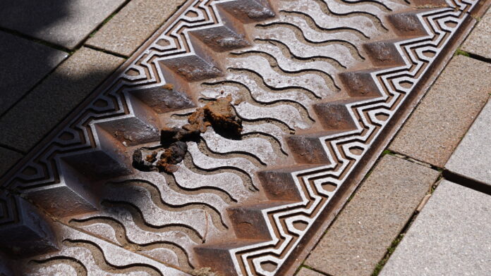 2024.07.24@11.48.20_3