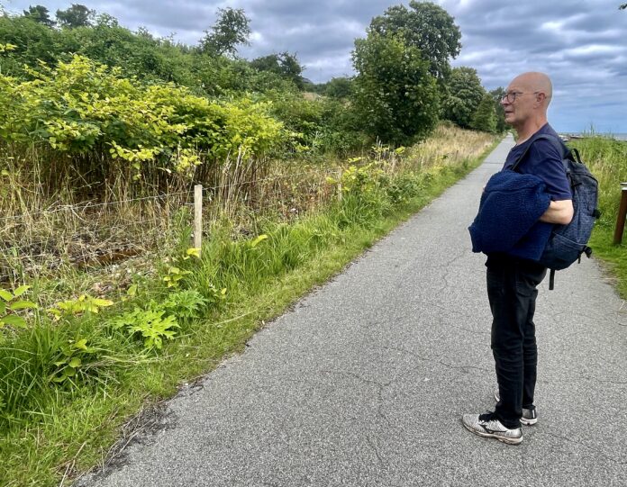 AVISEN 2024.07.18 Bjørneklo00004