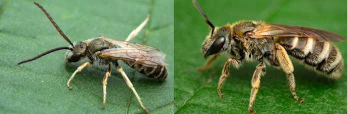 1ff3075a-3a05-48fe-abaa-d050ba6f27d3