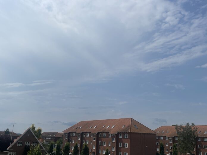 AVISEN 2024.03.08 sommer