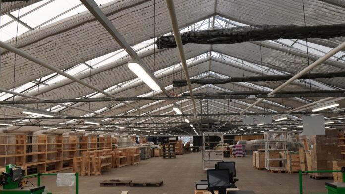 Billig blomster åbner i Fredericia2