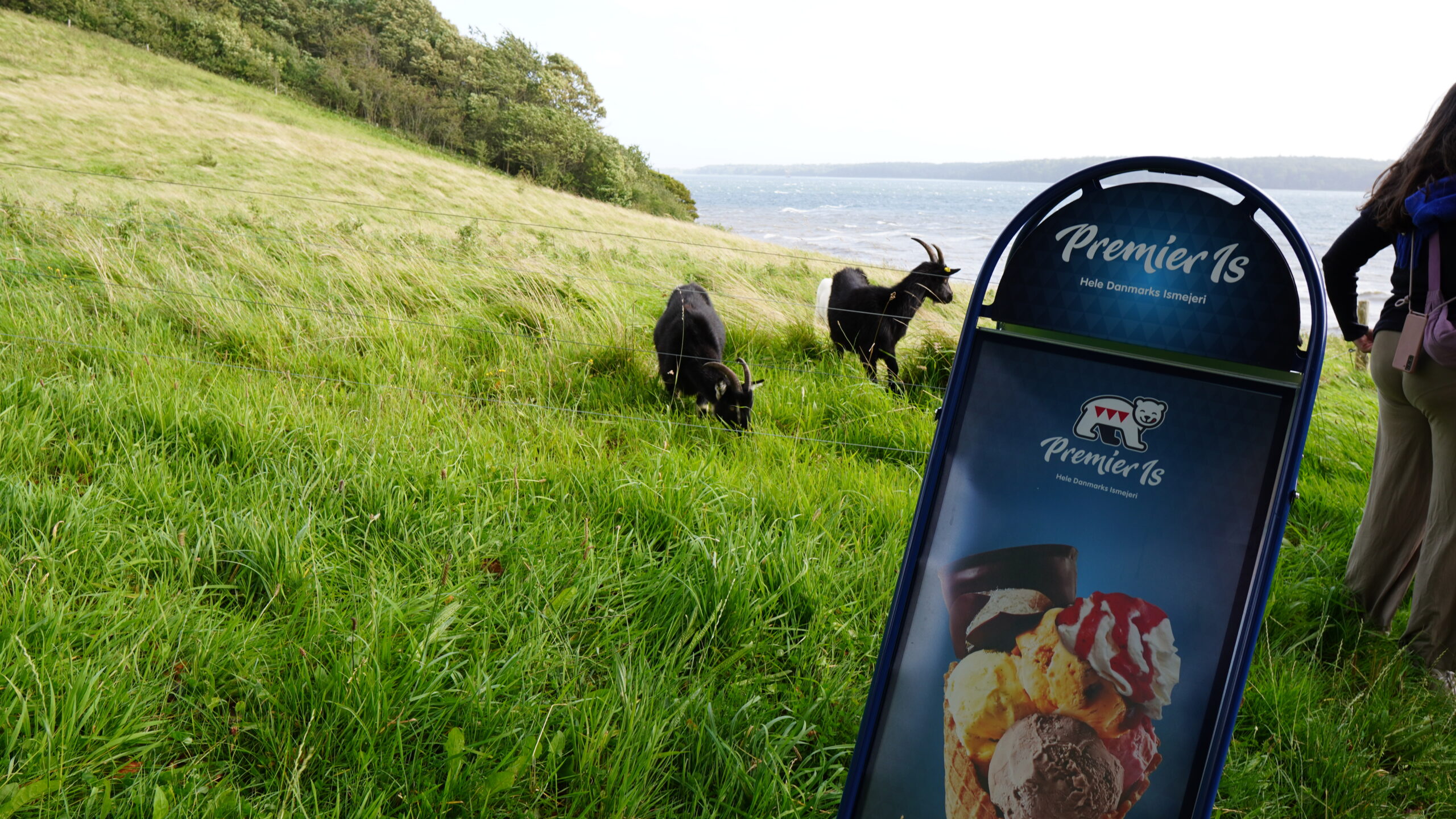 Sommervarmen banker på – op til 27 grader når skolernes ferie starter Sommervarmen banker på – op til 27 grader når skolernes ferie starter