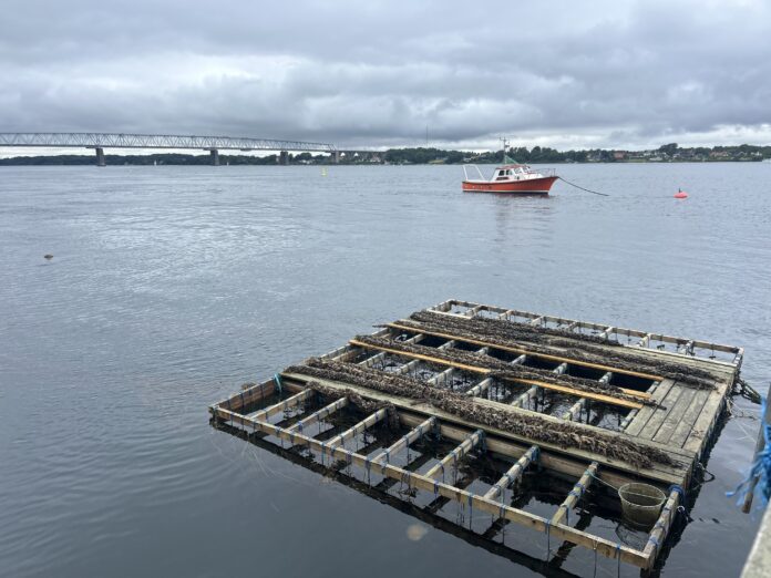 Bælthaven Middelfart