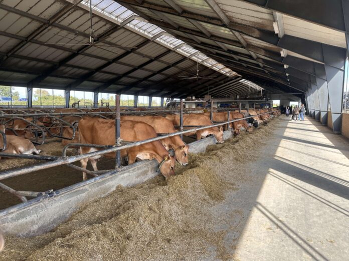 Gelstedgaard Åbent Landbrud 2024