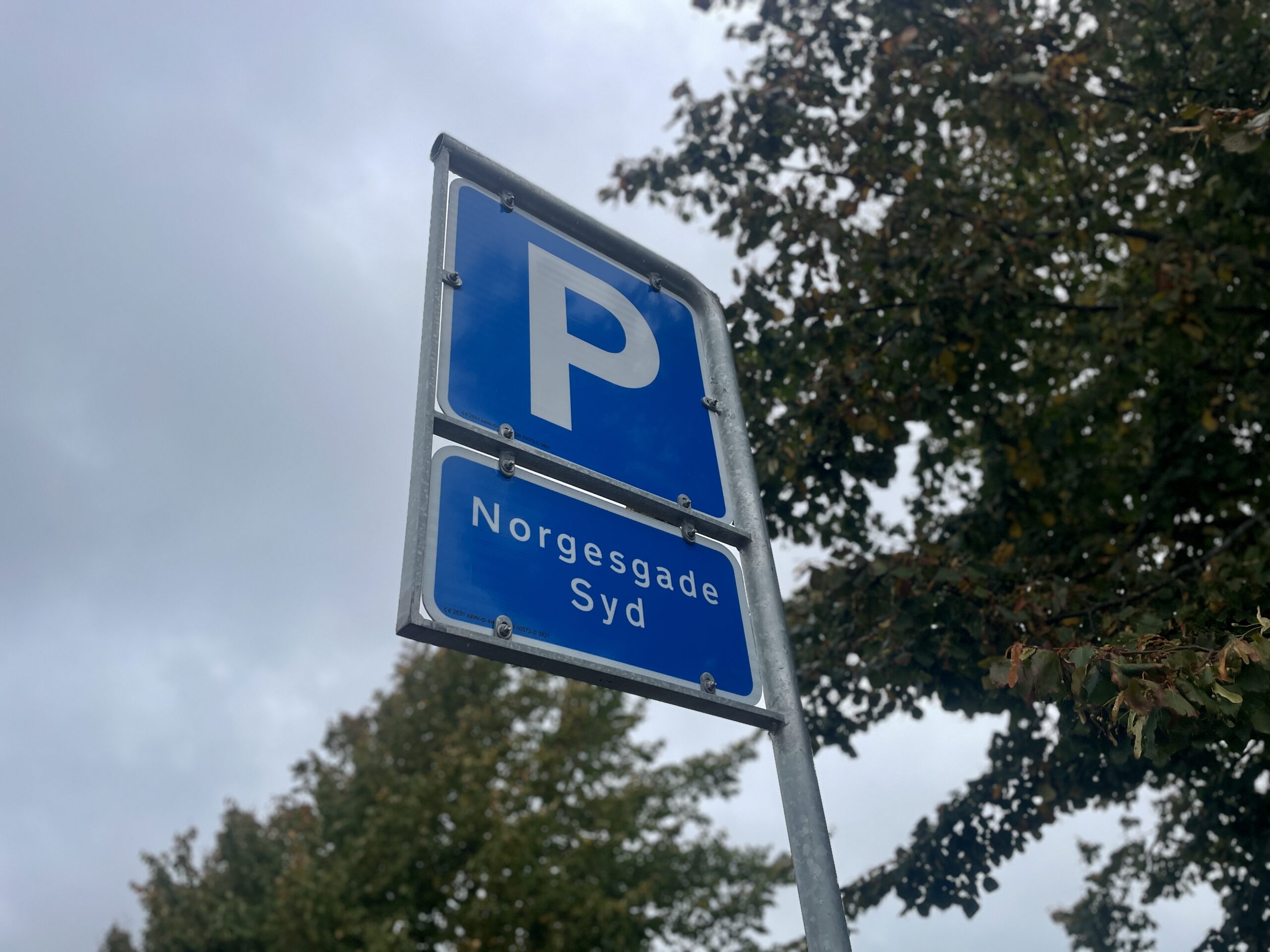 Handicapparkering: Skal pladserne udvides eller reguleres?