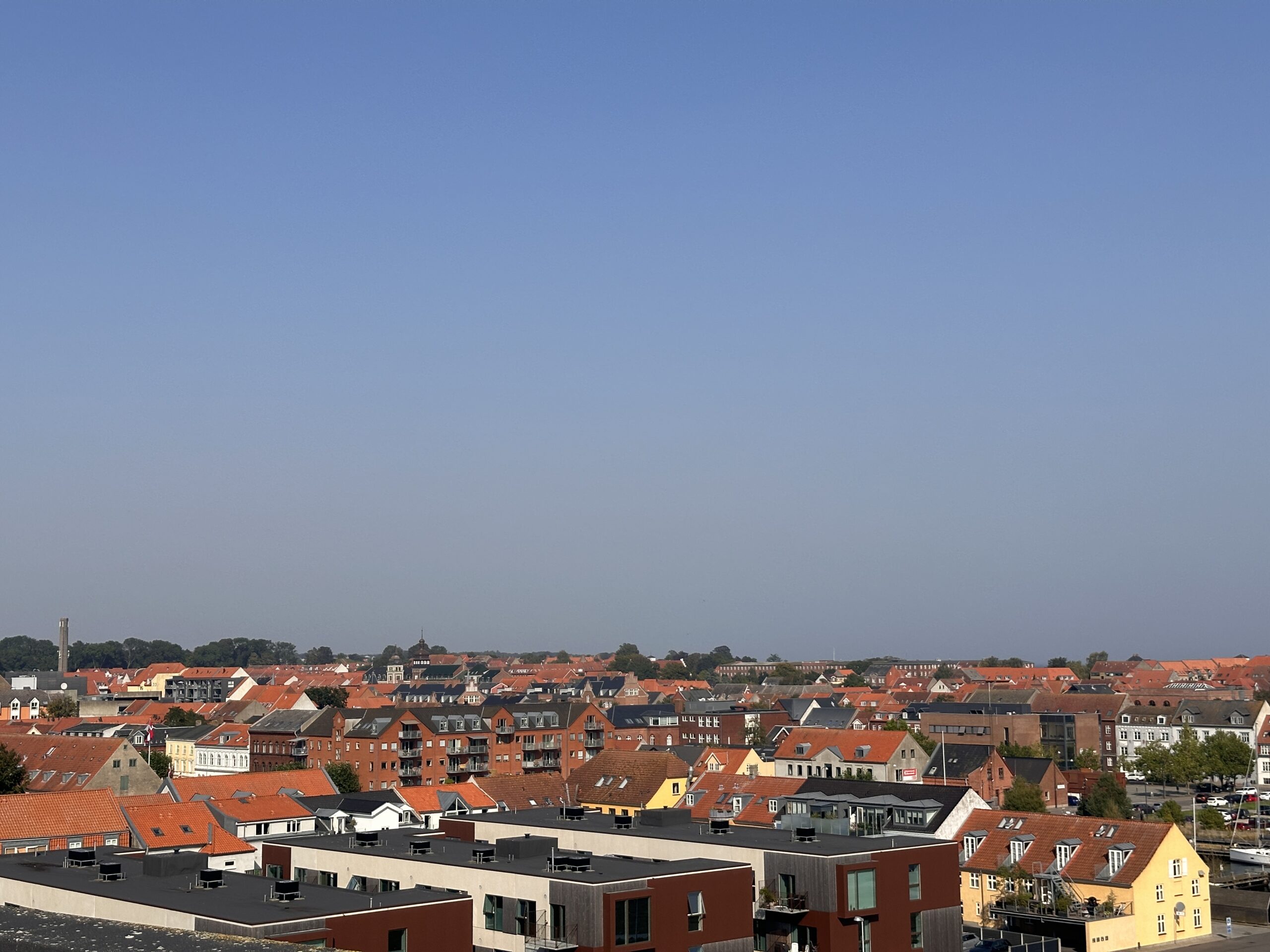 Venstre vil styrke vækst og bosætning i Fredericia: »Det handler om at skabe muskler til fremtiden«