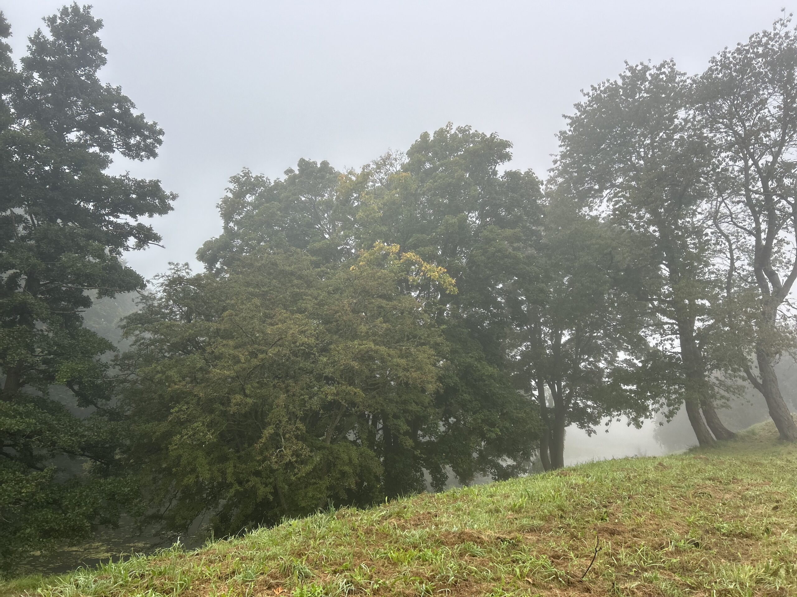 Tæt tåge lægger sig tungt over Trekantområdet fredag morgen Tæt tåge lægger sig tungt over Trekantområdet fredag morgen
