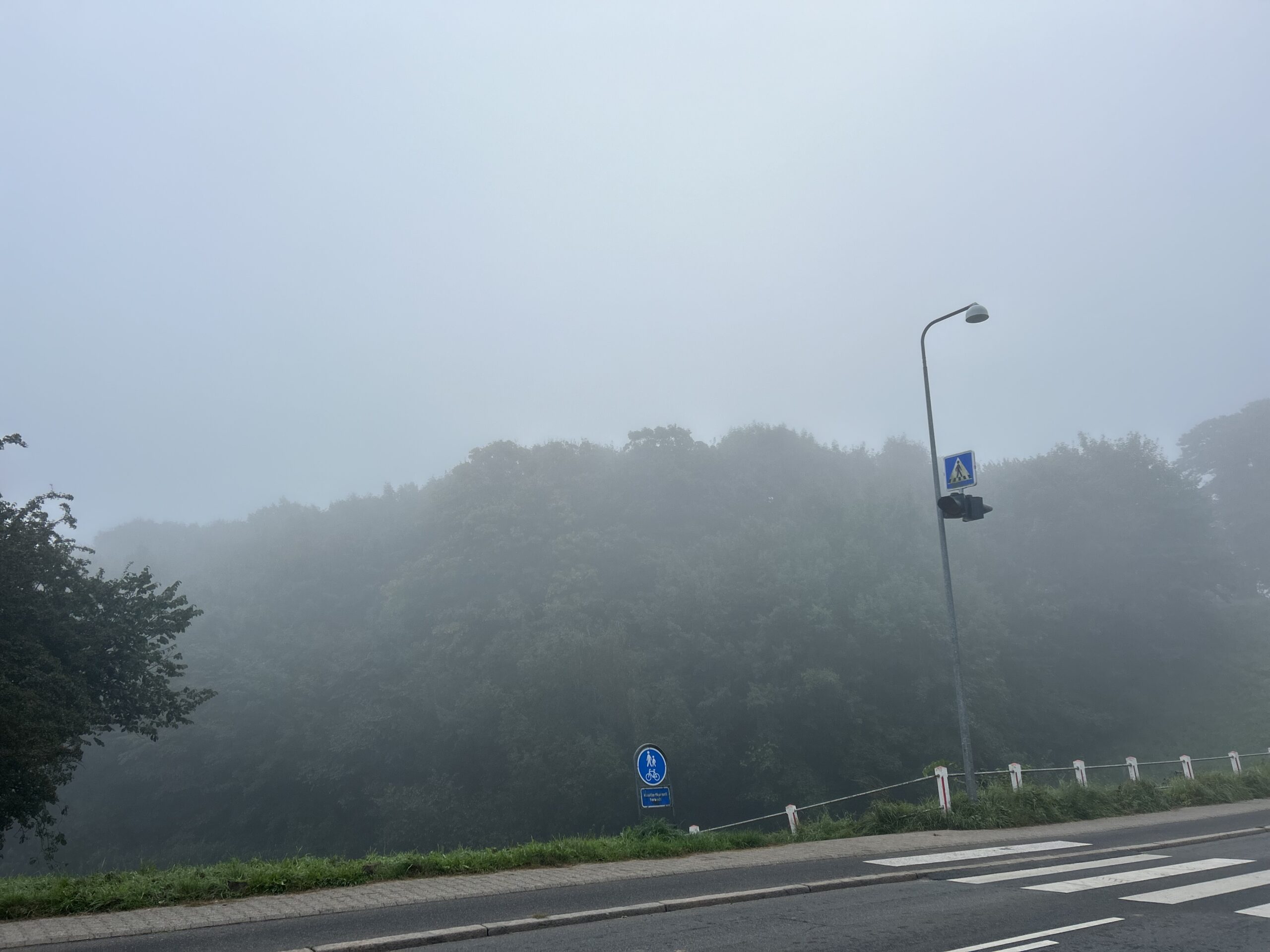 DMI advarer om tæt tåge i nat og i morgen tidlig